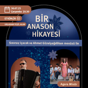 BİR ANASON HİKAYESİ